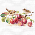 Birds and plum