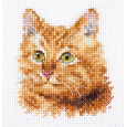 0-207 Portraits of animals. Ginger cat