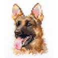 0-209 Portraits of animals. Shepherd dog