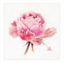 Акварельные розы. Розовая изысканная NEW